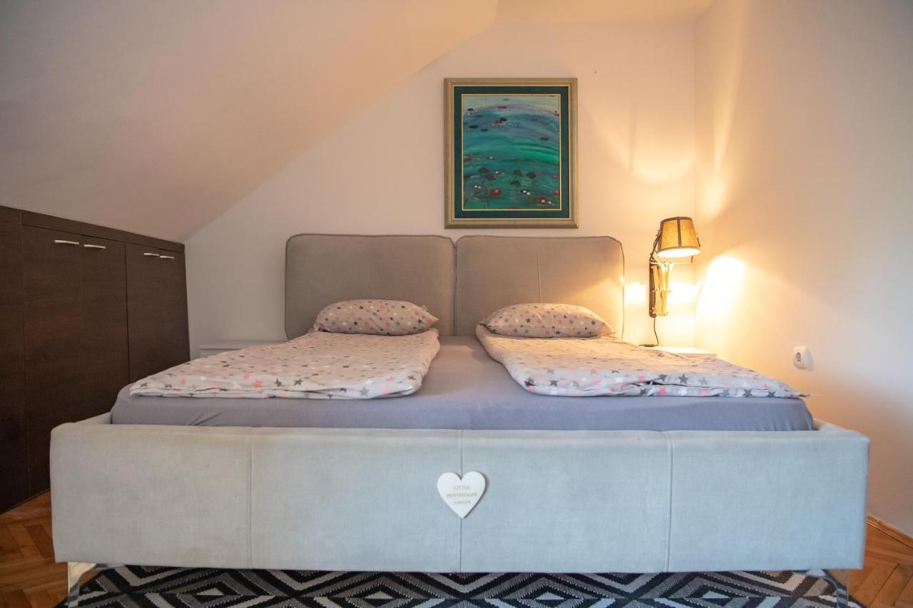 Marina Penthouse Apartment Novi Sad Ngoại thất bức ảnh